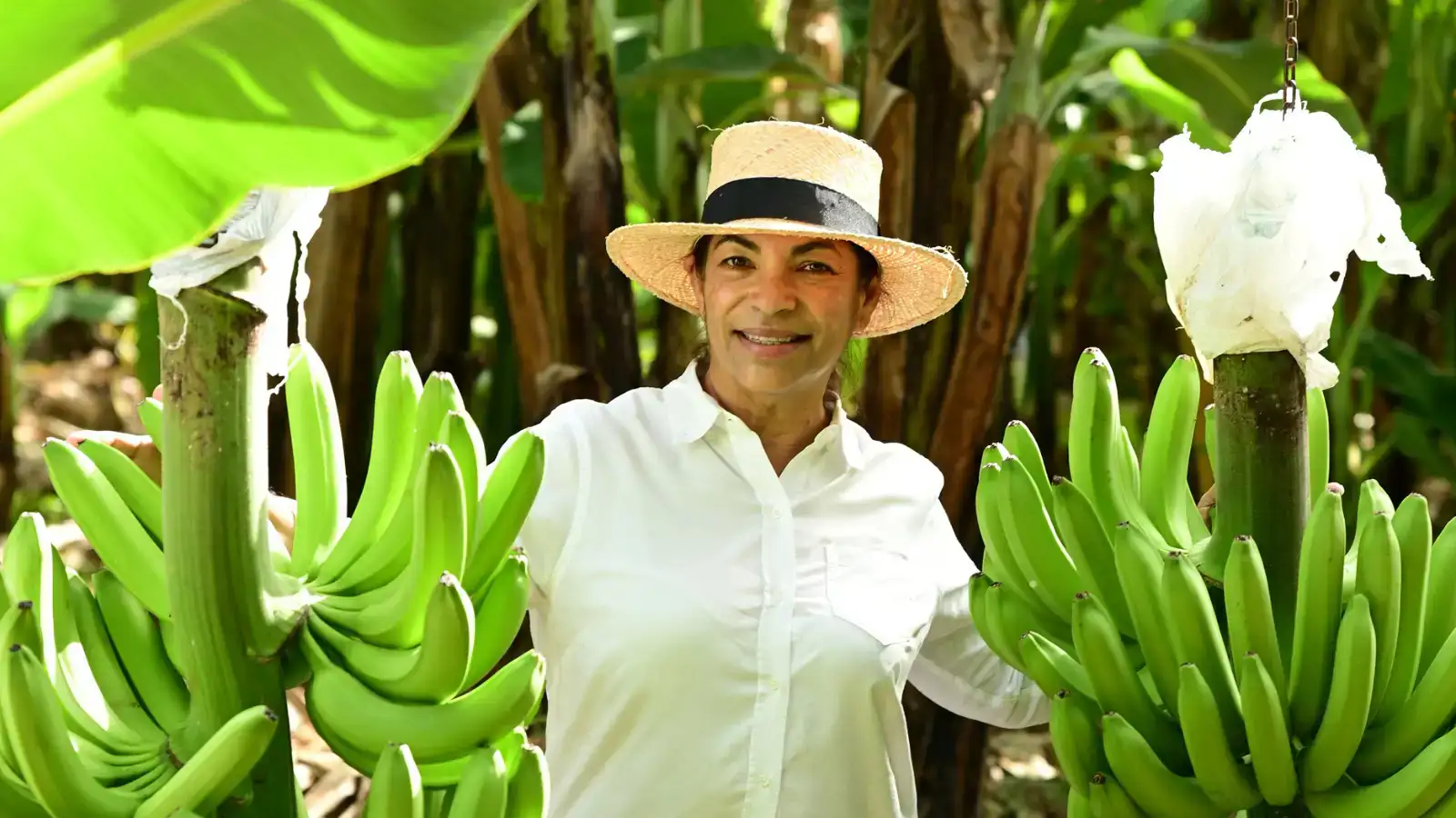 Een prachtige opbrengst voor bananenboerin Miladys