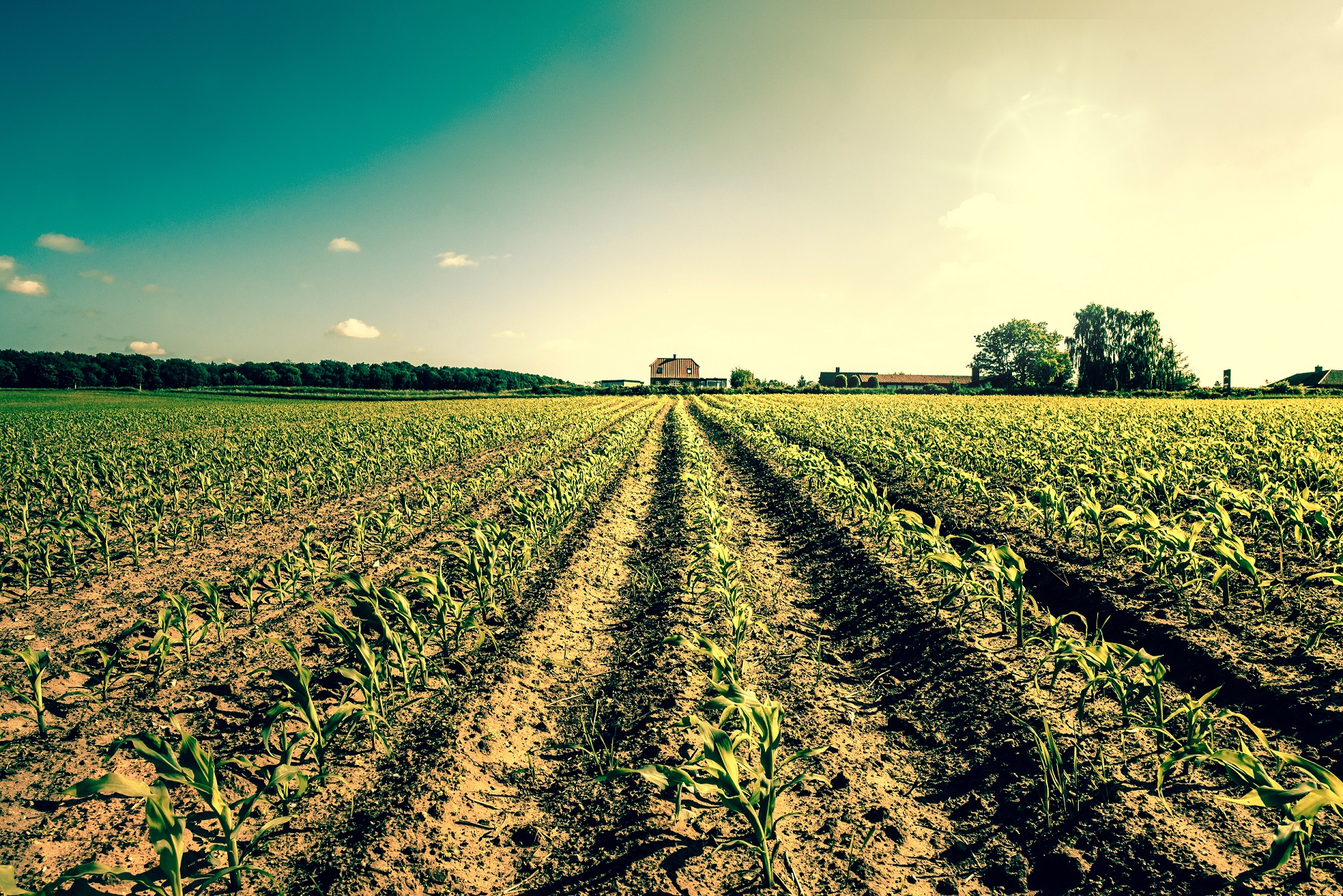 5 verhalen over overstappen op biologisch
