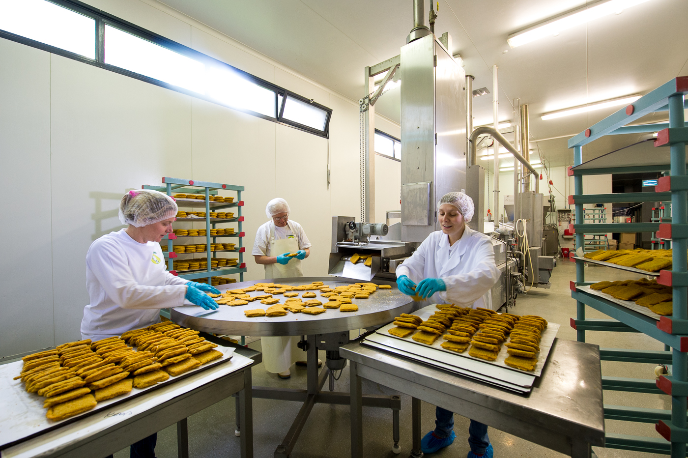 depaddestoel-fabriek