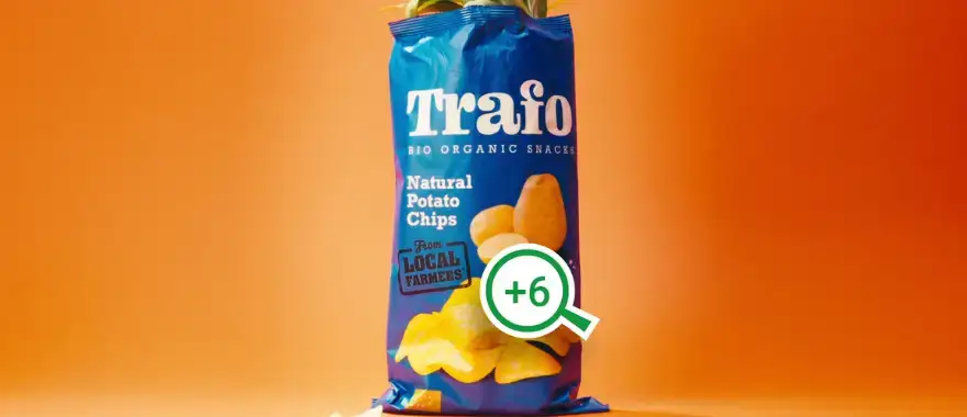 Trafo chips onder de loep