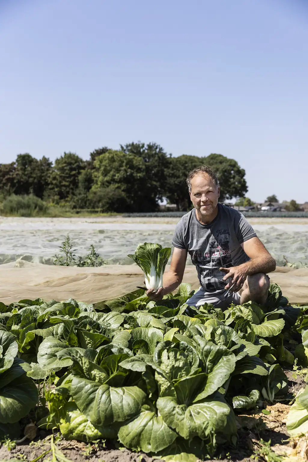 ekoplaza-biologisch-fred-willemssen-puur-origine-paksoi