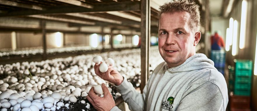 Duurzame champignons door een duurzame relatie