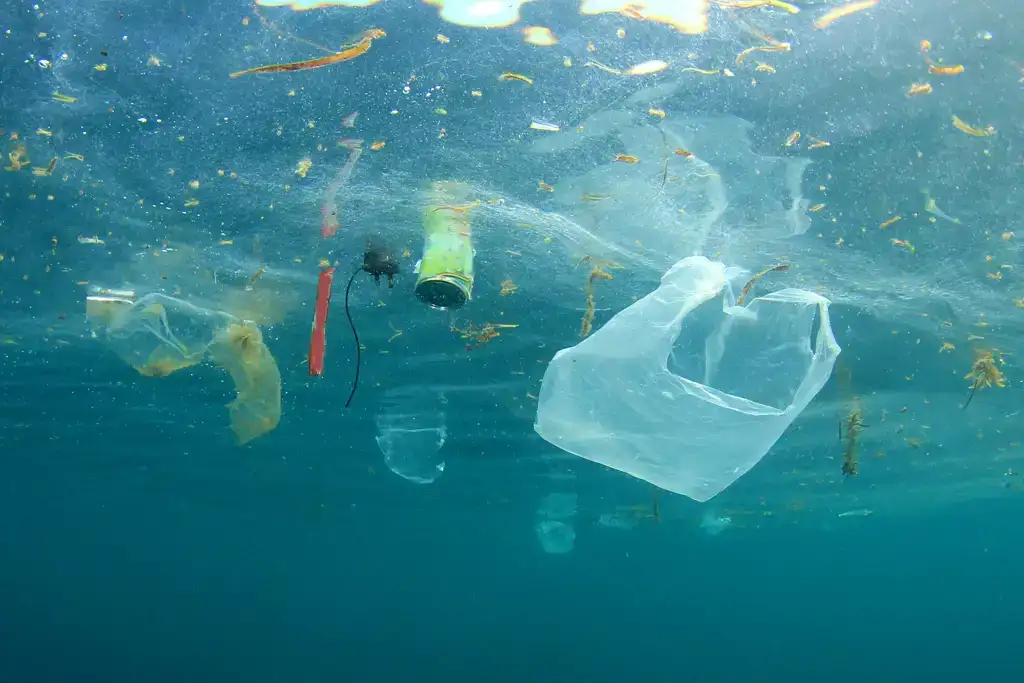 ekoplaza-biologisch-plasticsoup