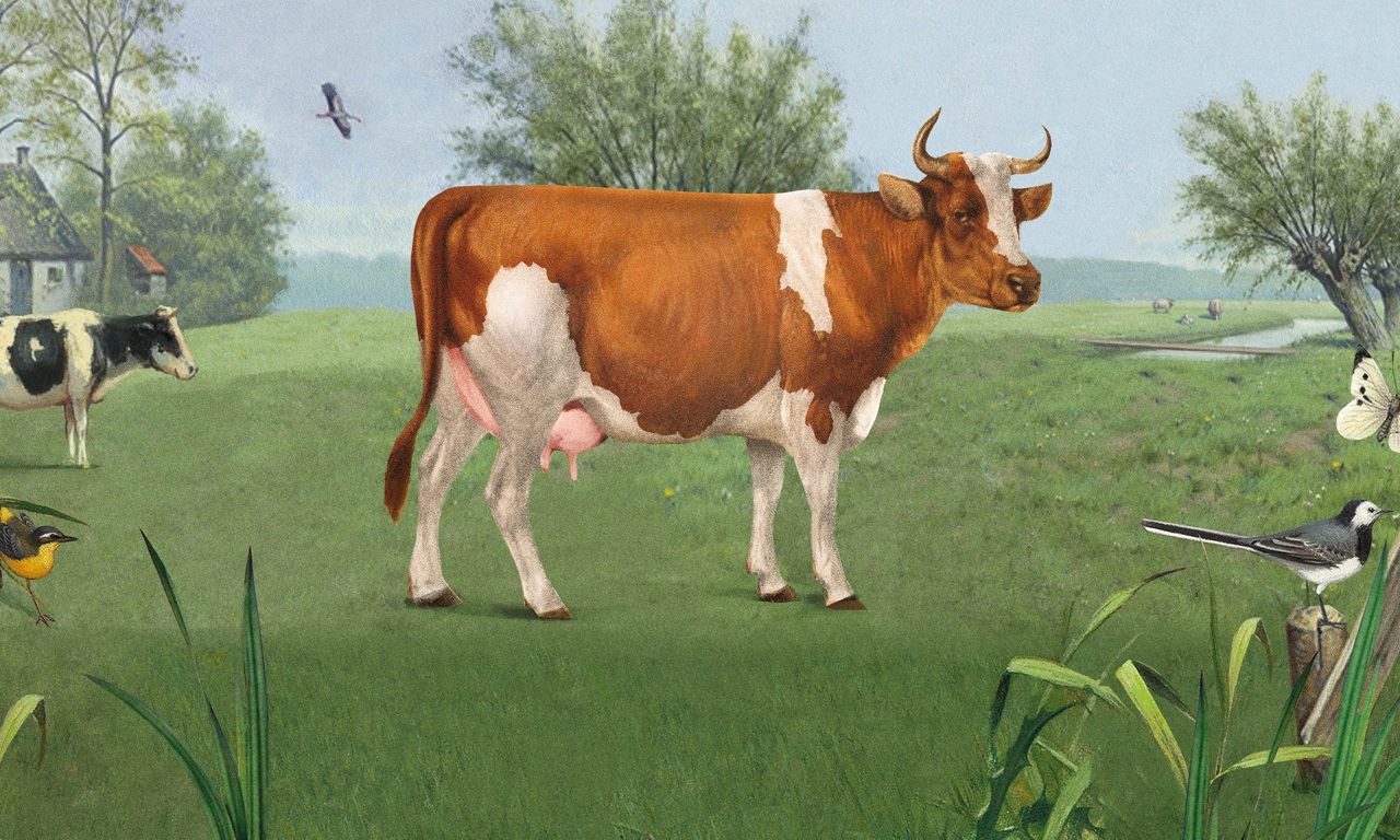 terugnaarbeter