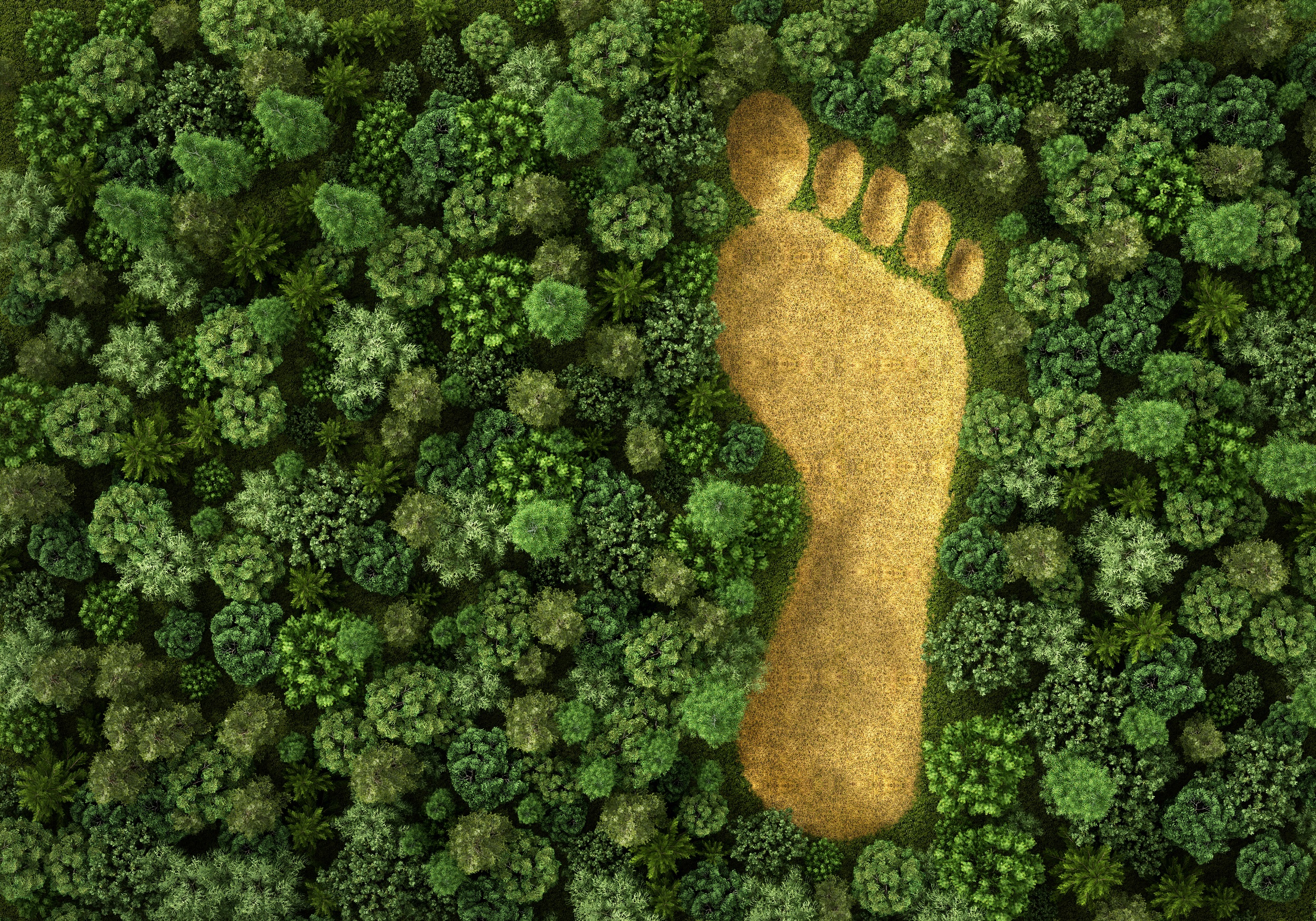 Interview met agro-ecologisch onderzoeker Wijnand Sukkel
