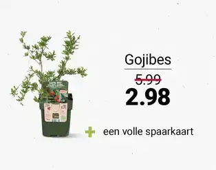 Gojibes