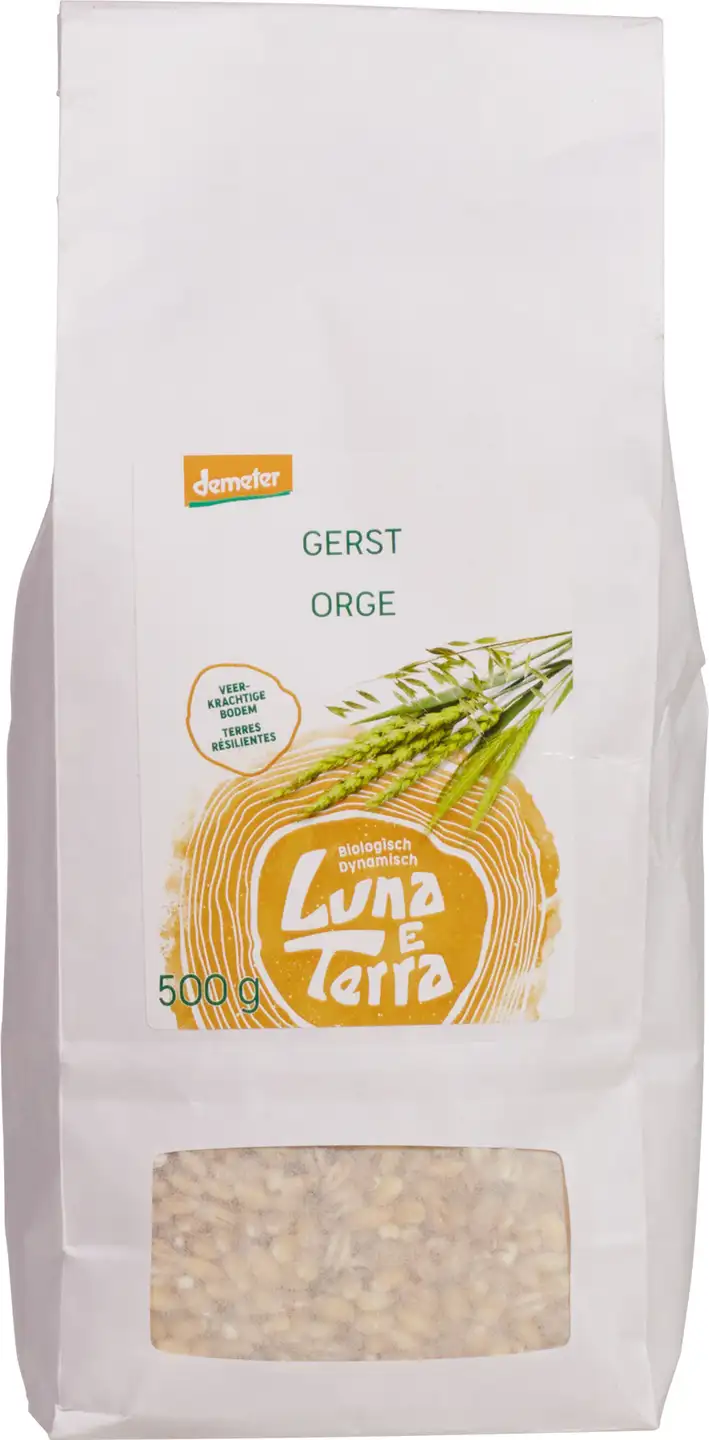 Gerst