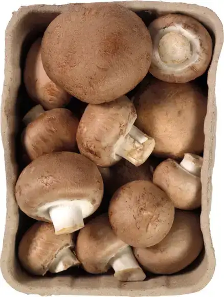 Kastanjechampignons 250 g