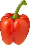 Rode paprika