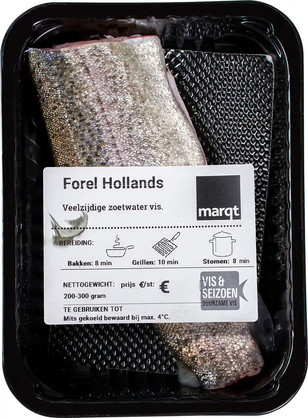 Hollandse forel