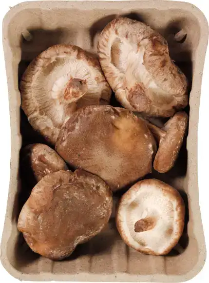 Shiitake 100 g