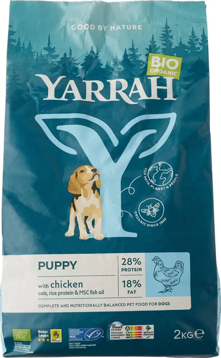 Hondenbrokken puppy