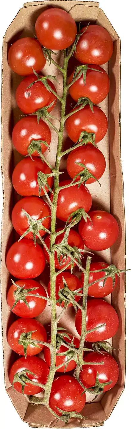 Cherry trostomaten