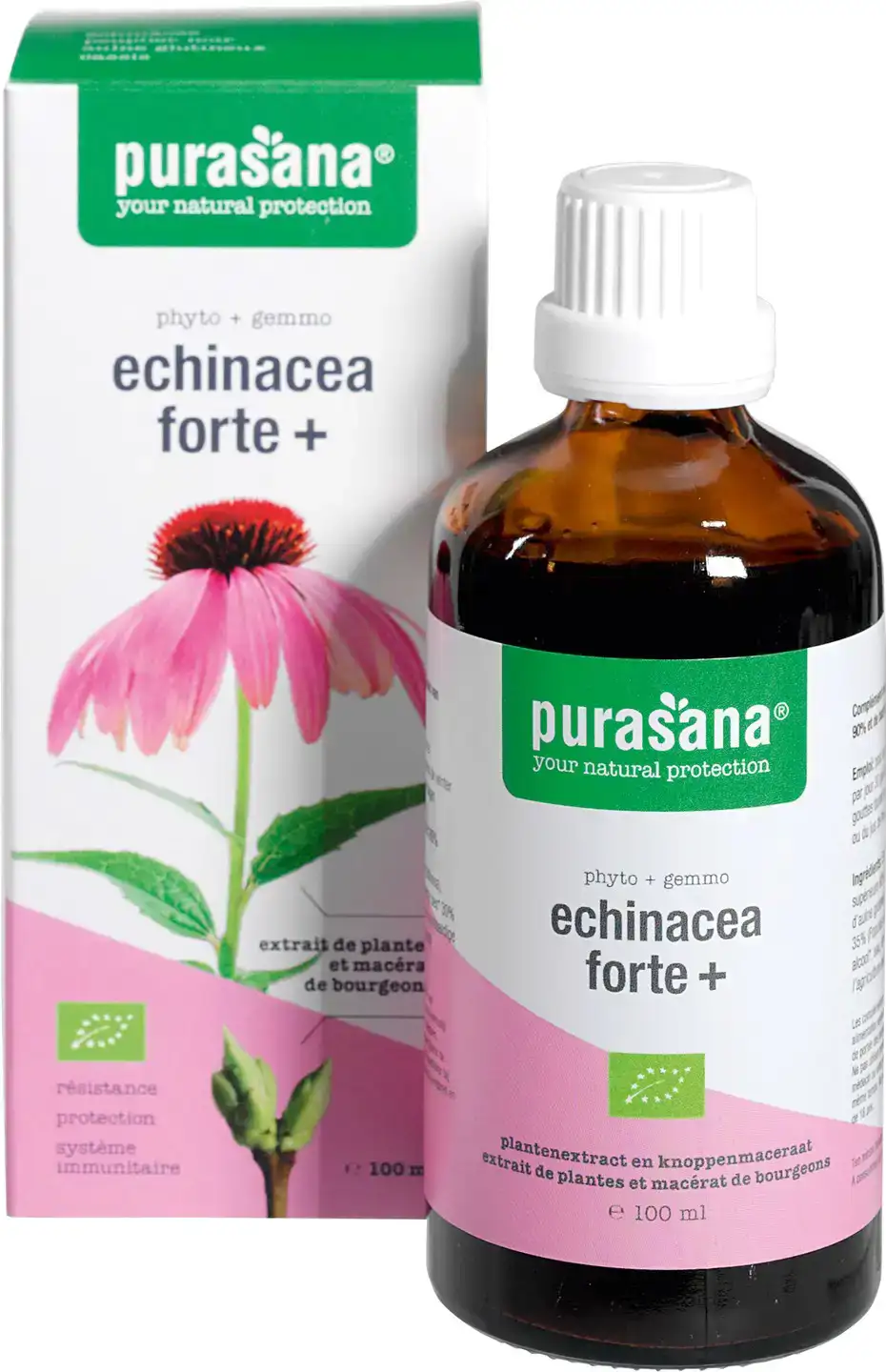 Echinacea forte+ 100ml