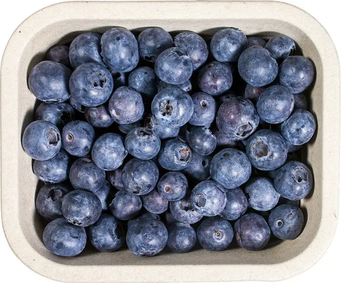 Blauwe bessen 125 g