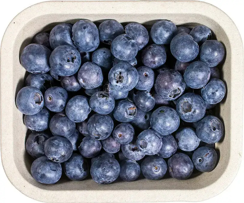 Blauwe bessen