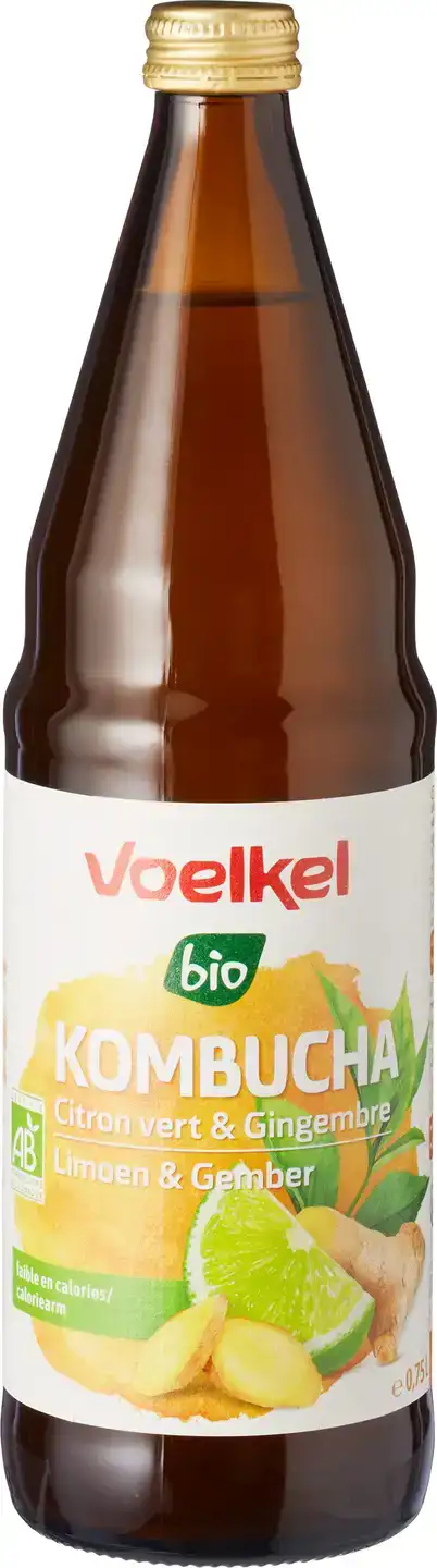 Kombucha limoen & gember