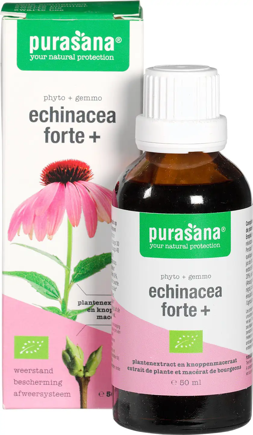 Echinacea forte+ 50ml