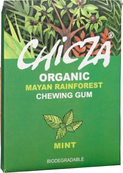 Kauwgom mint 30 g