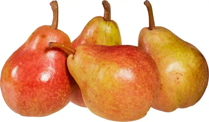 Gieser Wildeman peren (stoofperen) 600 g