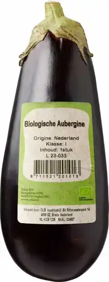 Aubergine 1 stuks