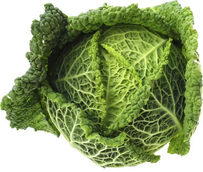Groene kool 1 stuks
