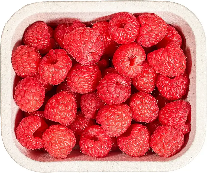 Frambozen