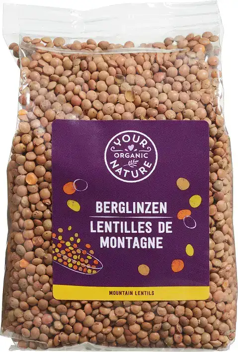 Berglinzen