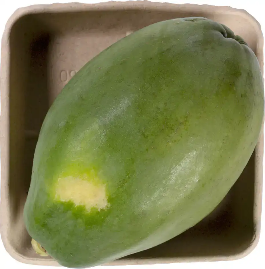 Papaya