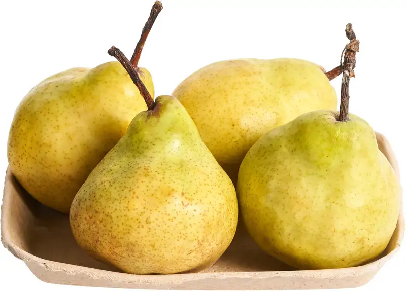 Doyenne du Comice peren 600 g