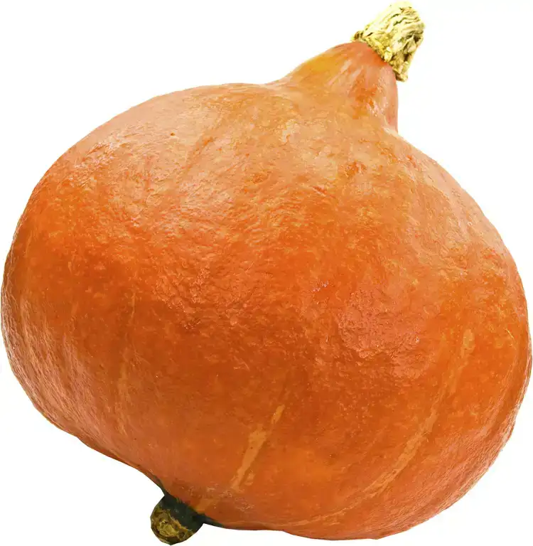 Oranje pompoen