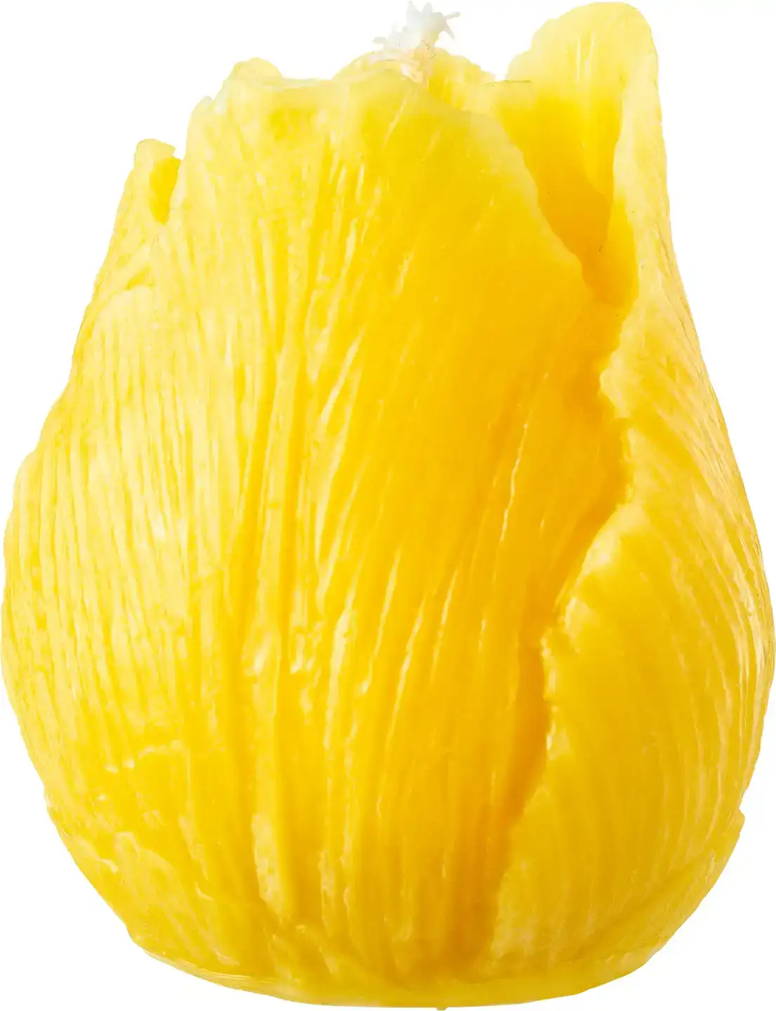 Bijenwaskaars tulpje