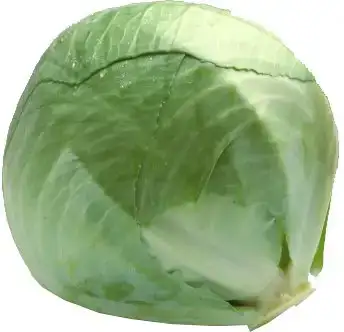 Witte kool