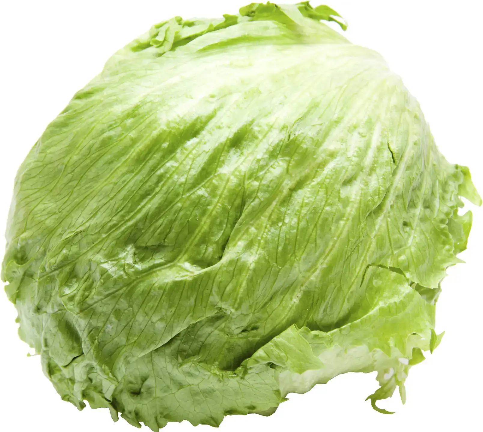 IJsbergsla