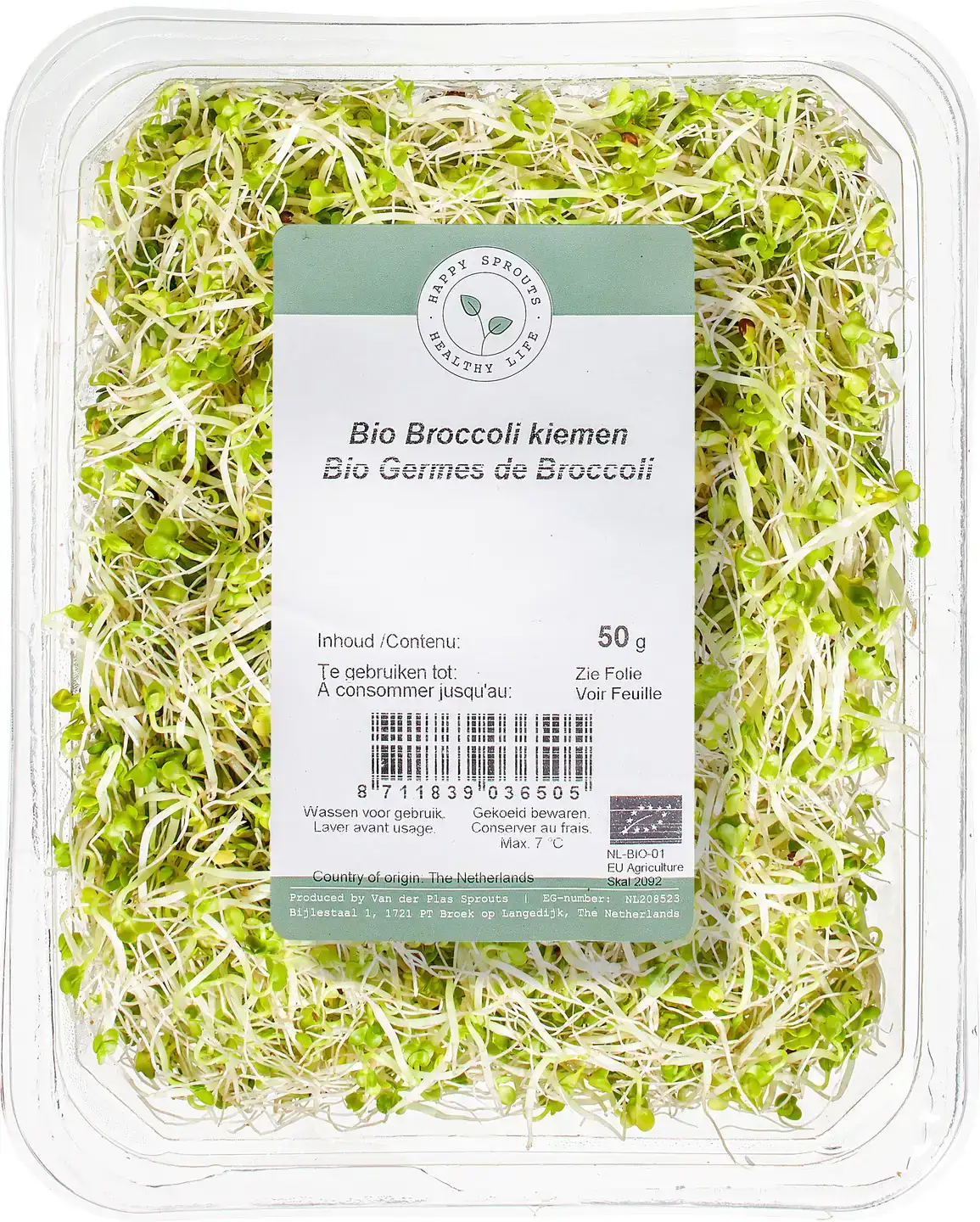 Broccolikiemen