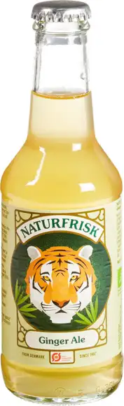 Ginger ale 250 ml