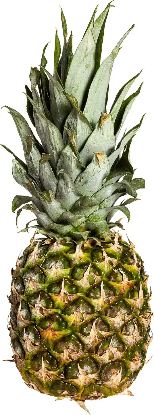 Ananas