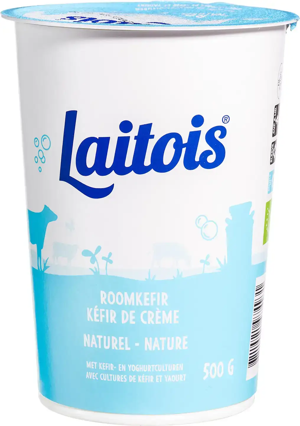 Roomkefir naturel
