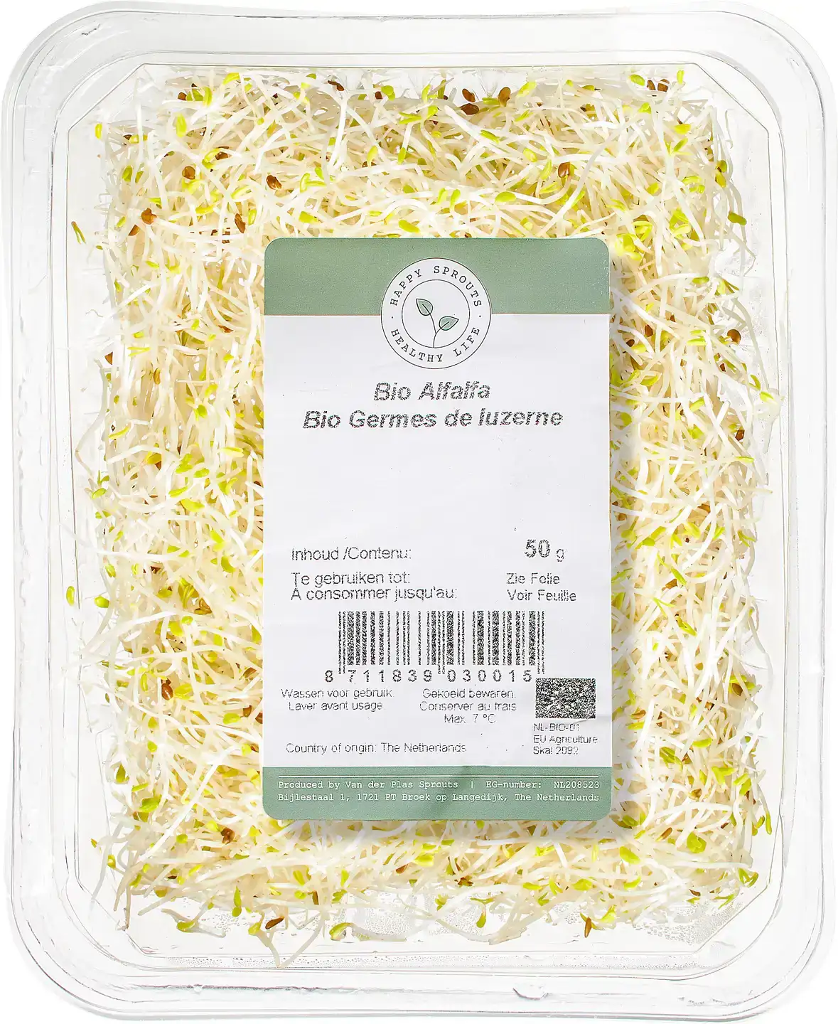 Alfalfa