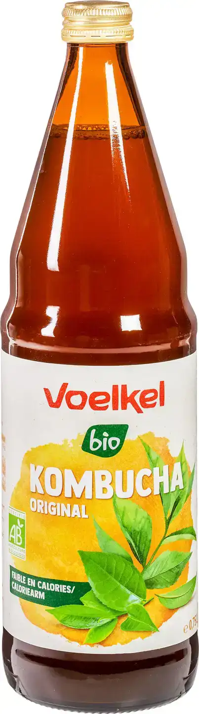 Kombucha