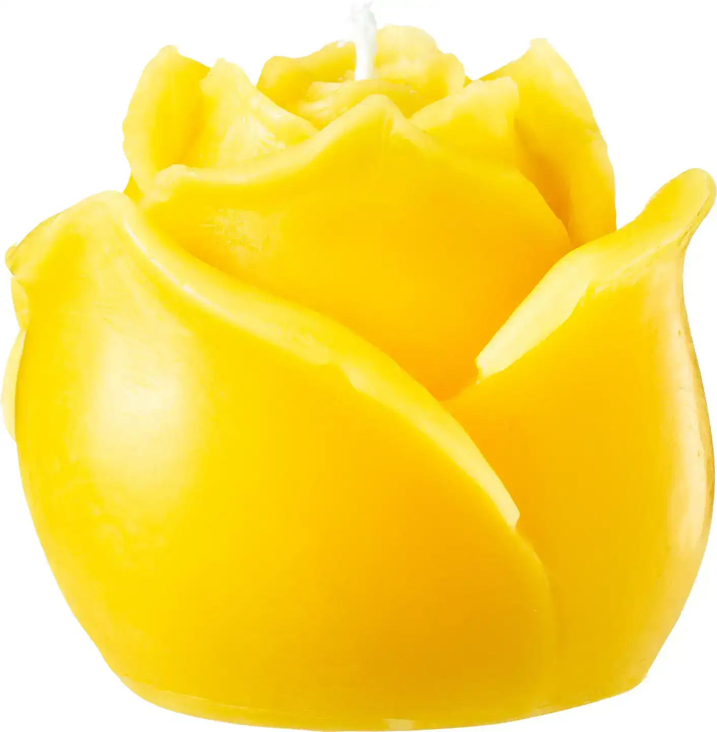 Bijenwaskaars roos