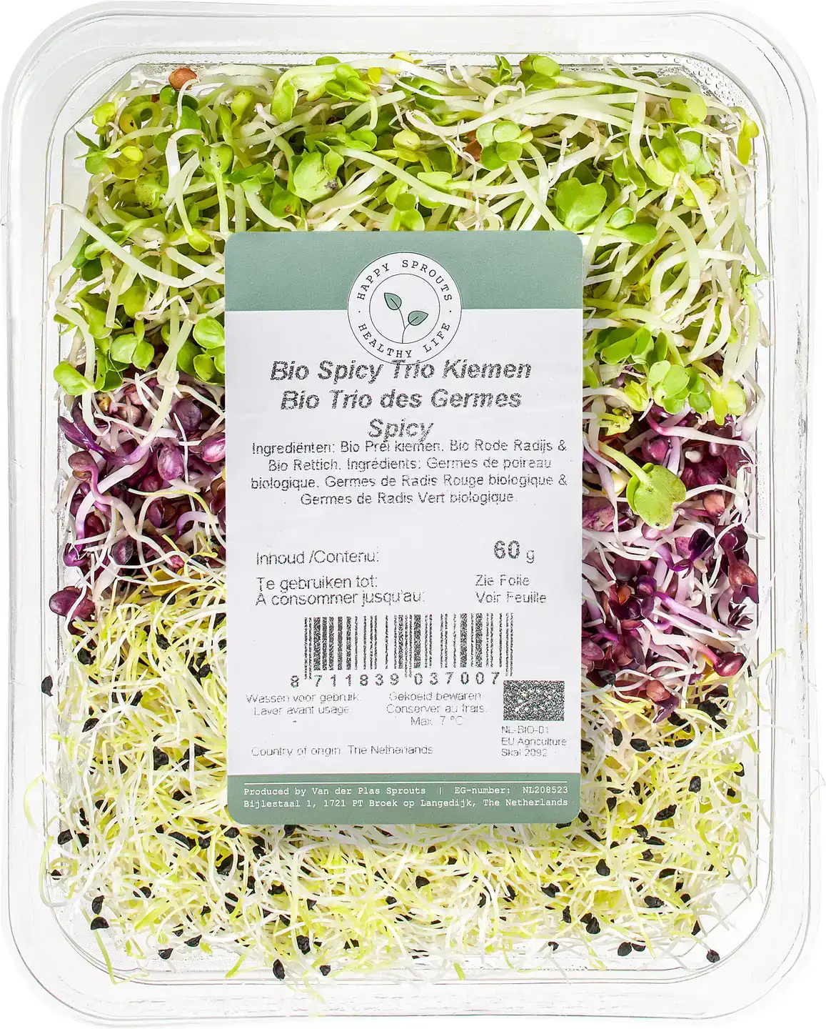 Spicy kiemen trio