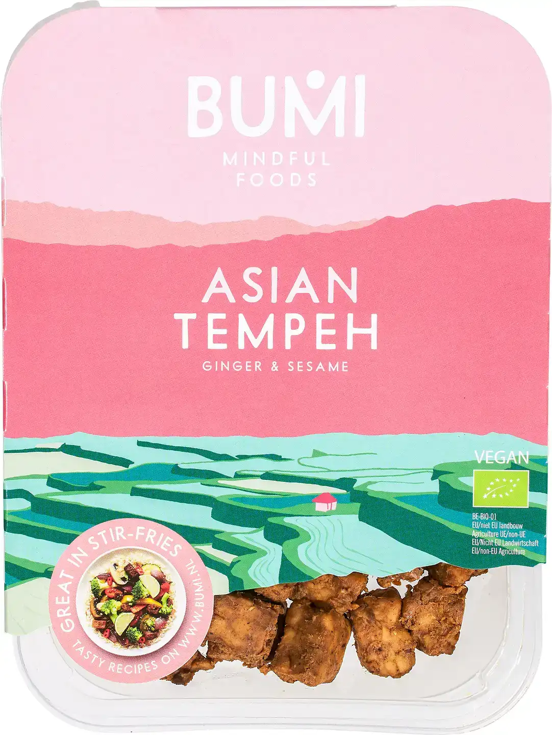 Aziatische tempeh