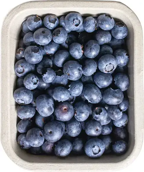 Blauwe bessen 250 g