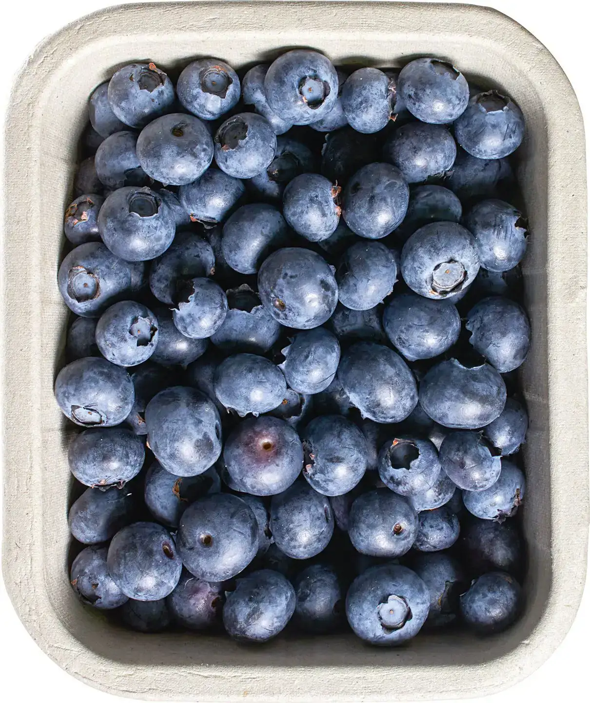 Blauwe bessen