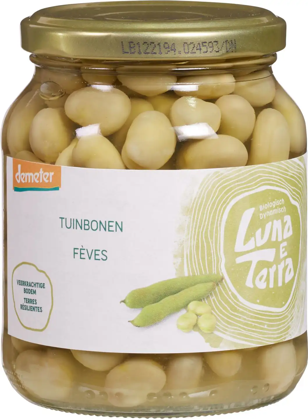 Tuinbonen