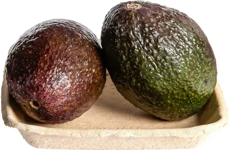 Avocado 2 stuks