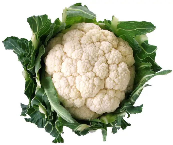 Bloemkool 1 stuks