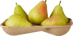 Guyot peren