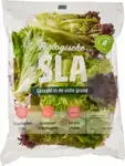 Jonge sla